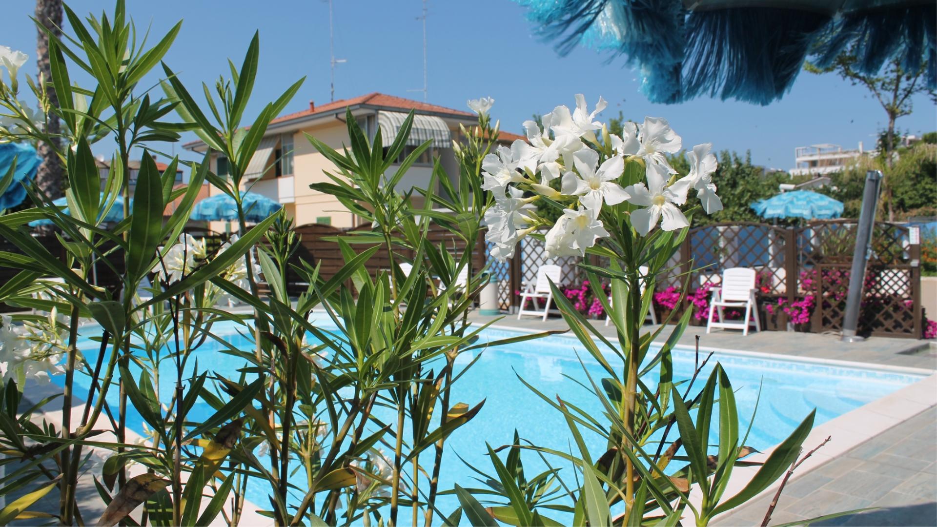 Piscina all'aperto con fiori bianchi e sedie a sdraio sotto ombrelloni blu.